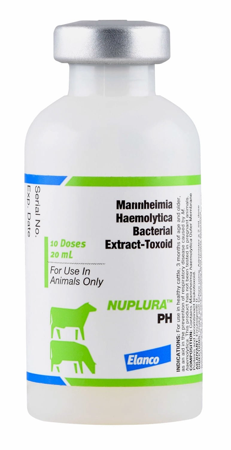 NUPLURA PH Cattle Vaccine
