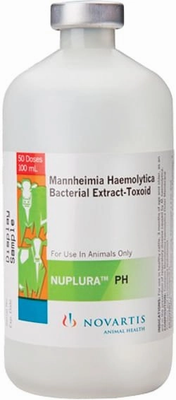 NUPLURA PH Cattle Vaccine