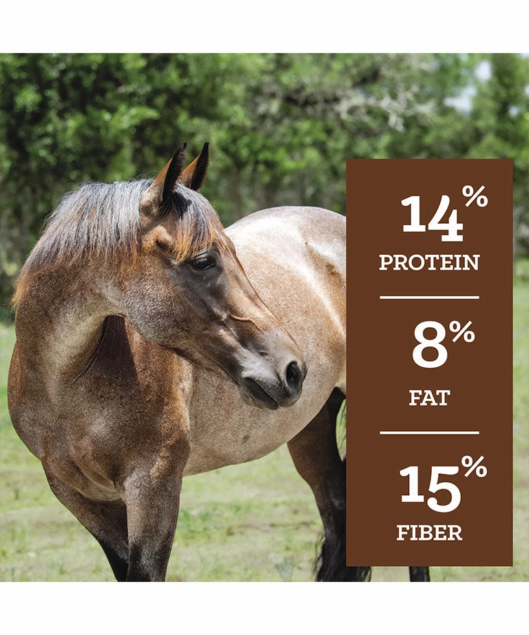 Nutrena SafeChoice All Life Stages 14% Pelleted Horse Feed