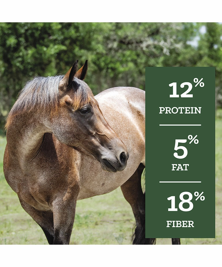 Nutrena SafeChoice Maintenance 12% Pelleted Horse Feed