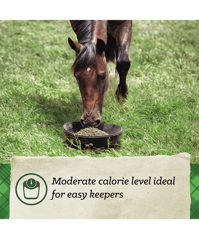 Nutrena SafeChoice Maintenance 12% Pelleted Horse Feed