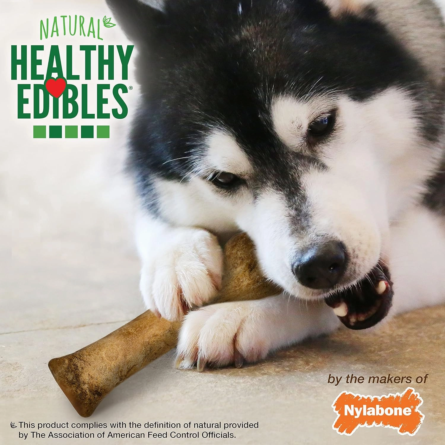 Nylabone Healthy Edibles Roast Beef Flavor Souper