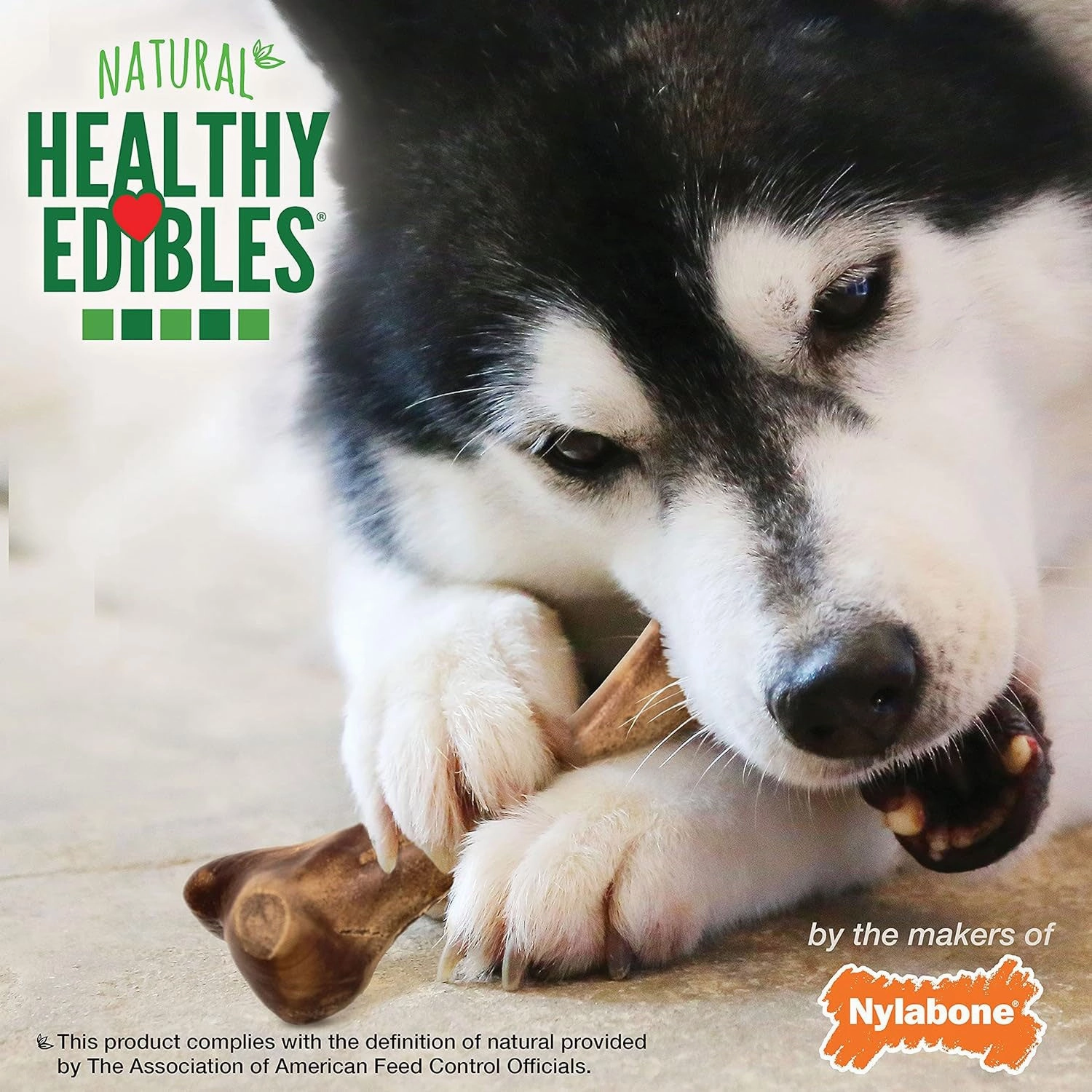 Nylabone Healthy Edibles WILD Bison Chew