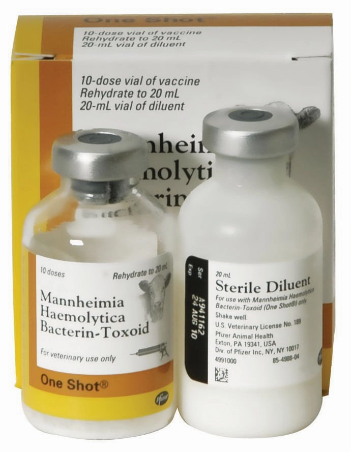 One Shot Pasteurella Vaccine for Cattle
