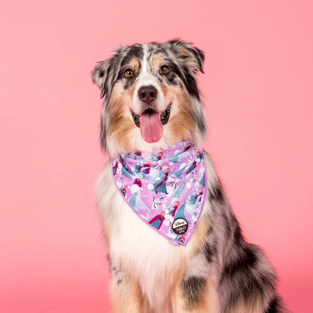 Pablo & Co: Frozen Dog Bandana