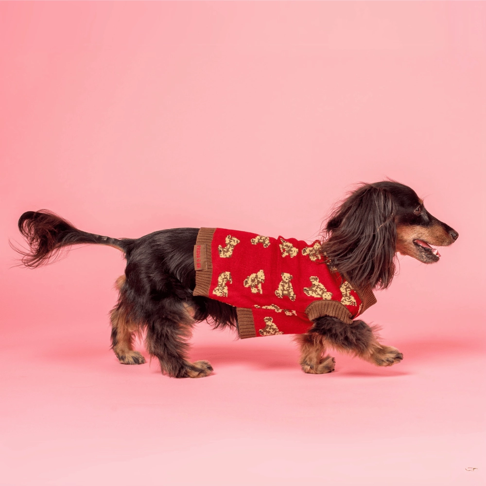 Pablo & Co Henry Bear Sweater