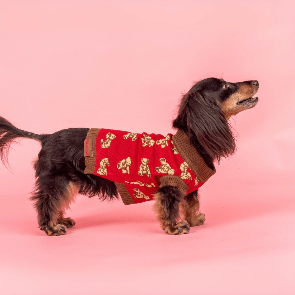 Pablo & Co Henry Bear Sweater