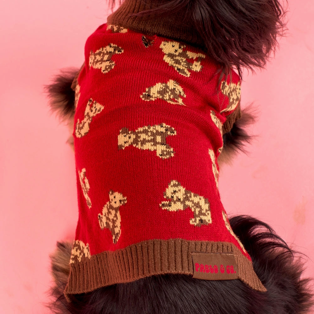 Pablo & Co Henry Bear Sweater