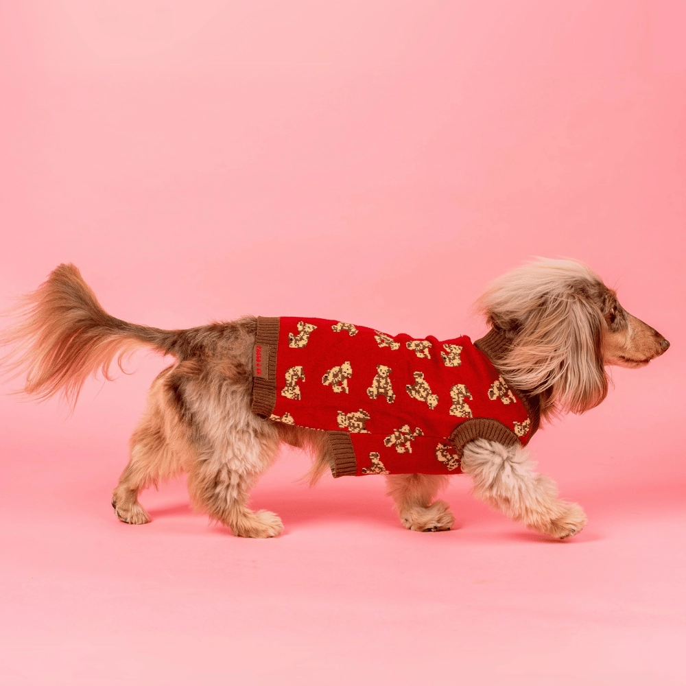 Pablo & Co Henry Bear Sweater
