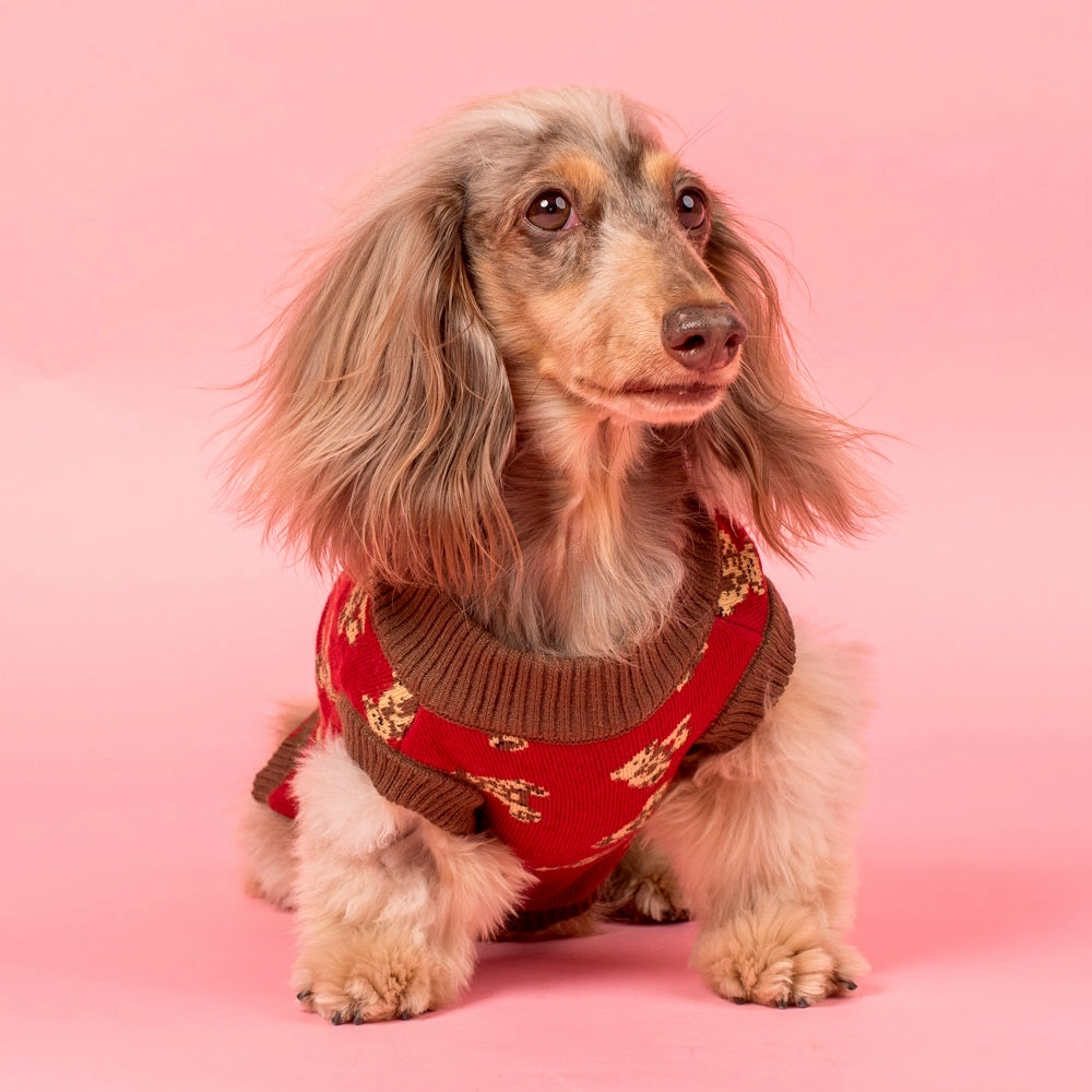 Pablo & Co Henry Bear Sweater
