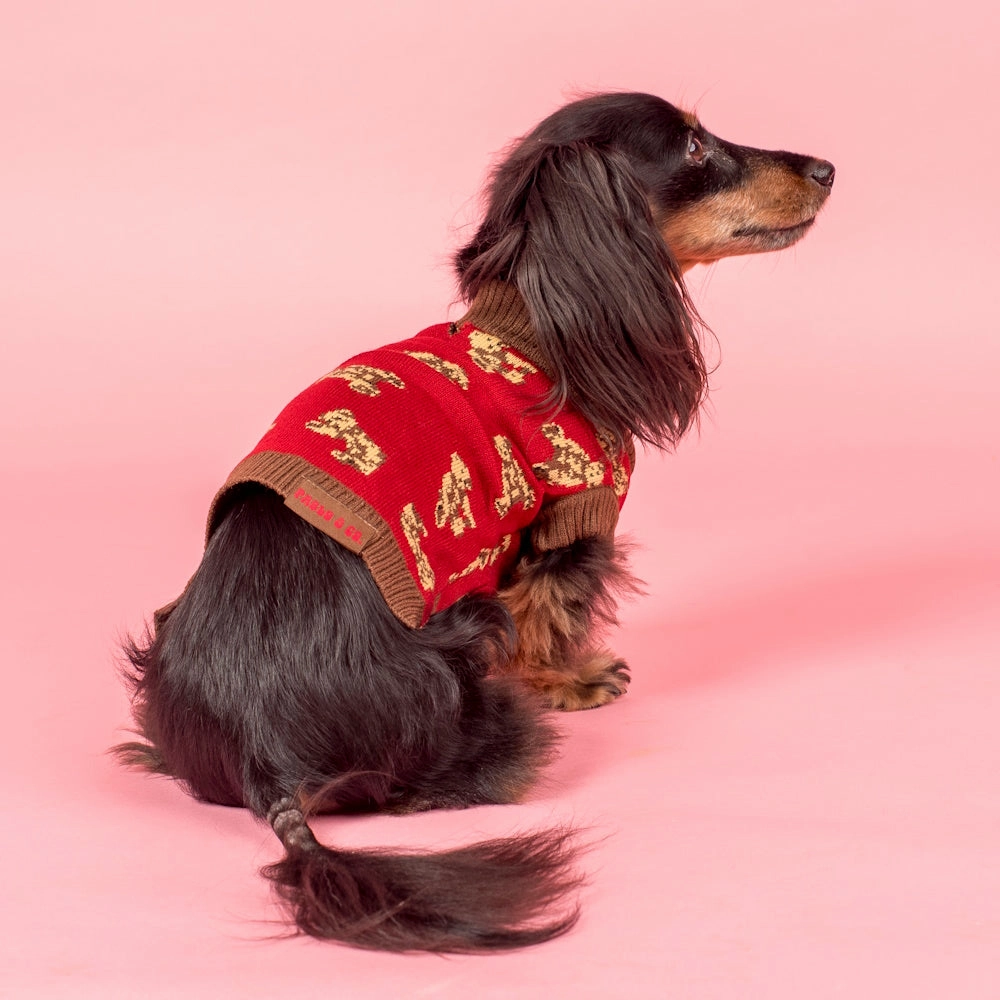 Pablo & Co Henry Bear Sweater