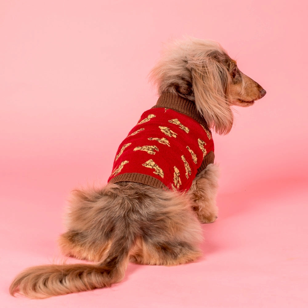 Pablo & Co Henry Bear Sweater