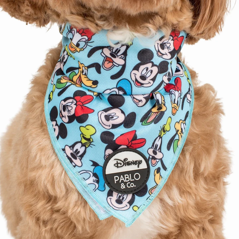 Pablo & Co Mickey & Friends: Bandana - Blue