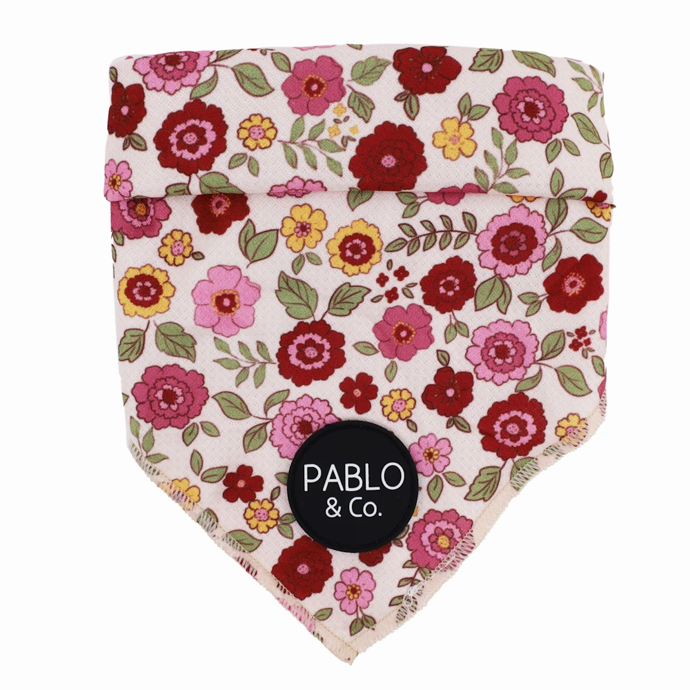 Pablo & Co Primrose Dog Bandana