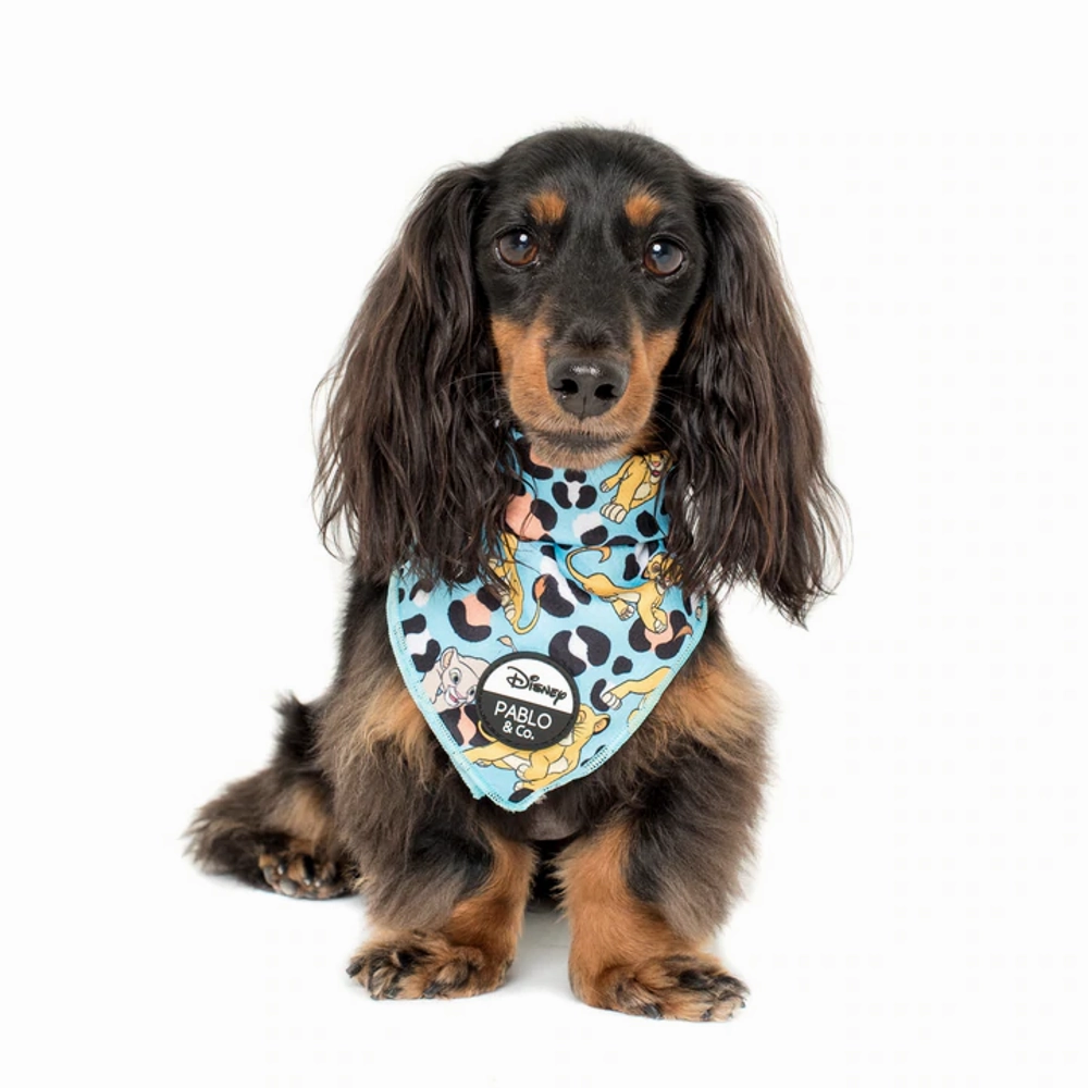 Pablo & Co The Lion King: Bandana