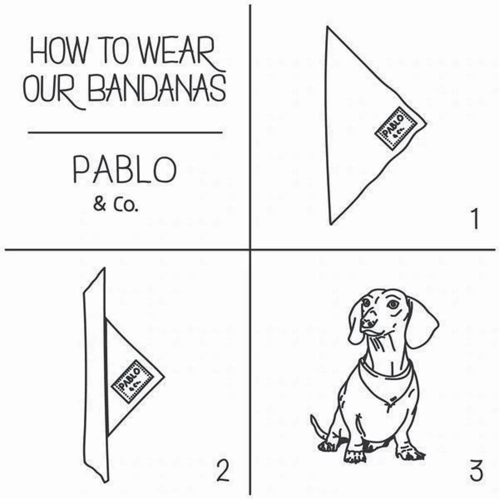 Pablo & Co The Lion King: Bandana