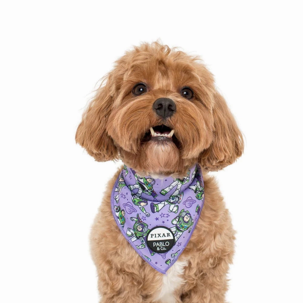 Pablo & Co Toy Story - Buzz Lightyear: Bandana