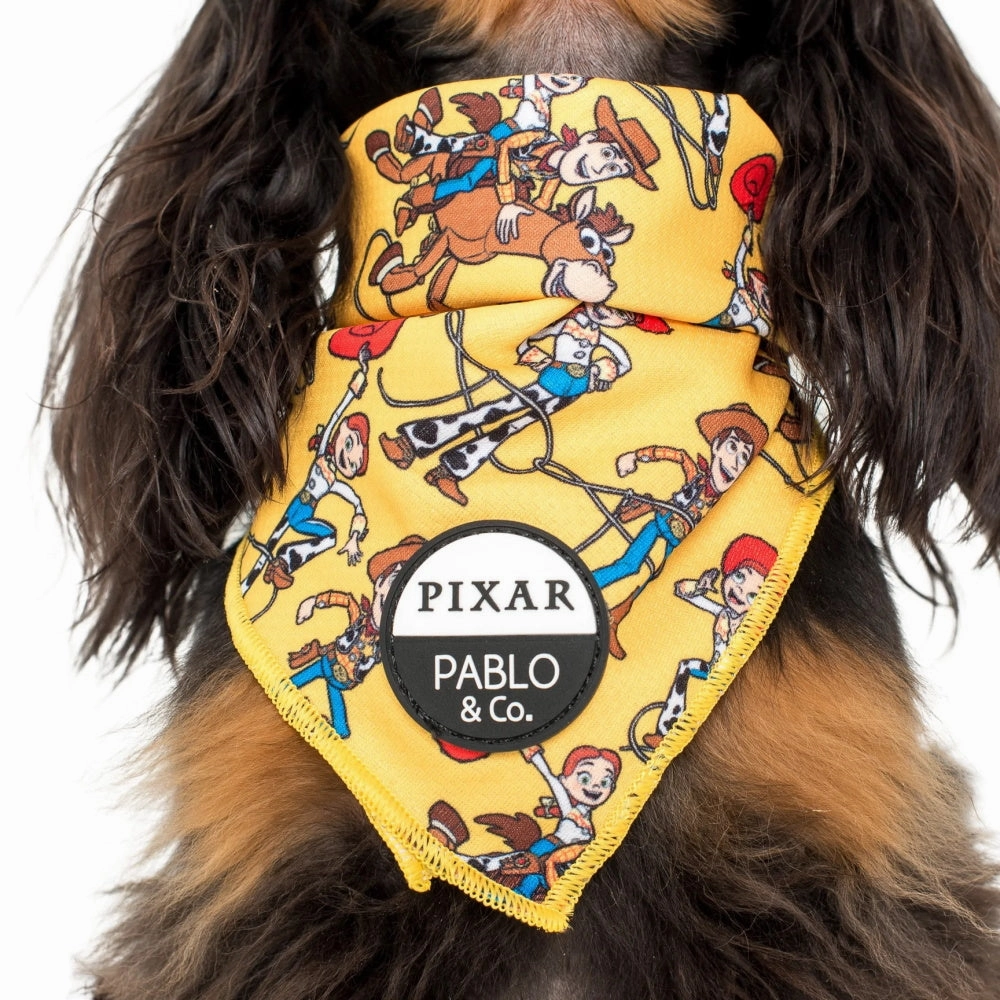 Pablo & Co Toy Story - Woody's Roundup: Bandana