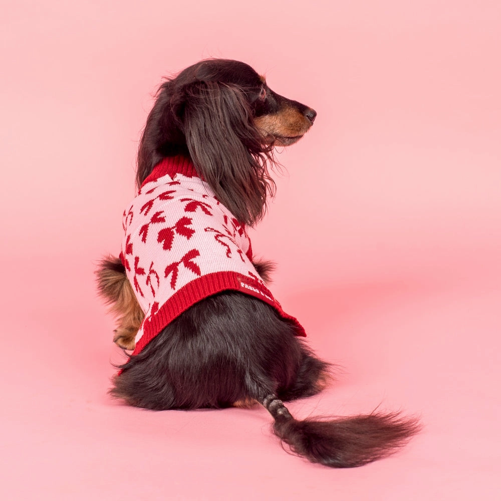 Pablo & Co Velvet Blush Bows Sweater