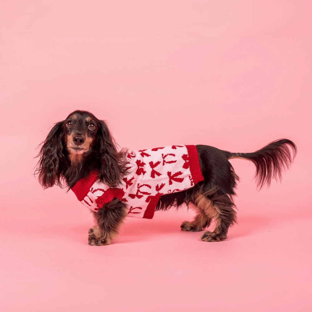 Pablo & Co Velvet Blush Bows Sweater