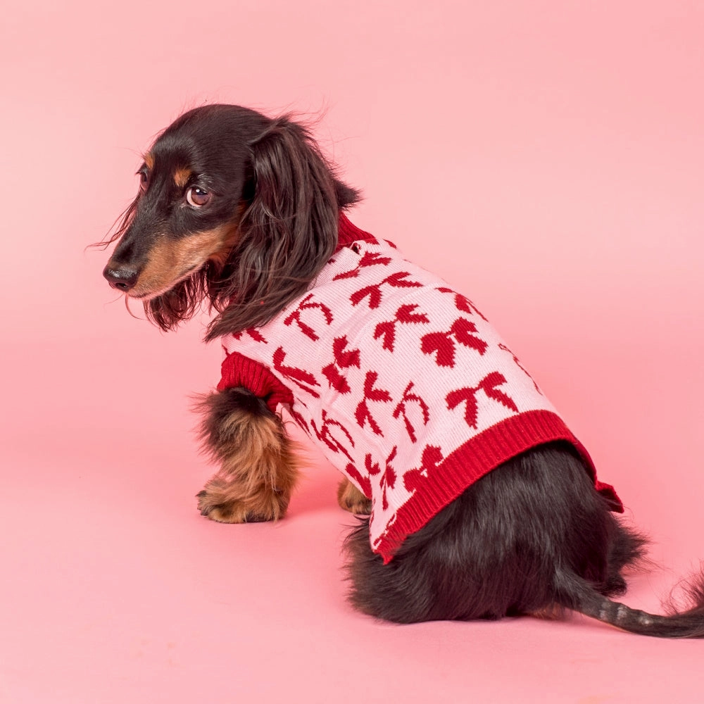 Pablo & Co Velvet Blush Bows Sweater