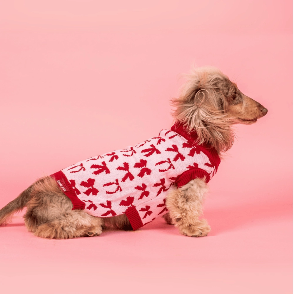 Pablo & Co Velvet Blush Bows Sweater