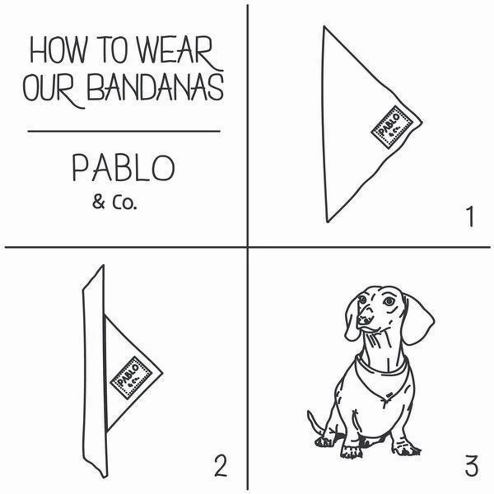 Pablo & Co Winnie the Pooh & Bee's: Bandana