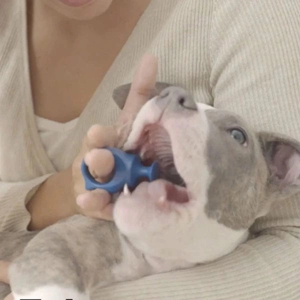 Paw Ready BiteBlock