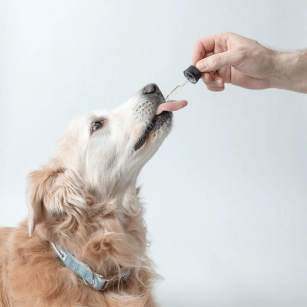 Pawtanical PawDaily Full Spectrum Health Oil For Pets