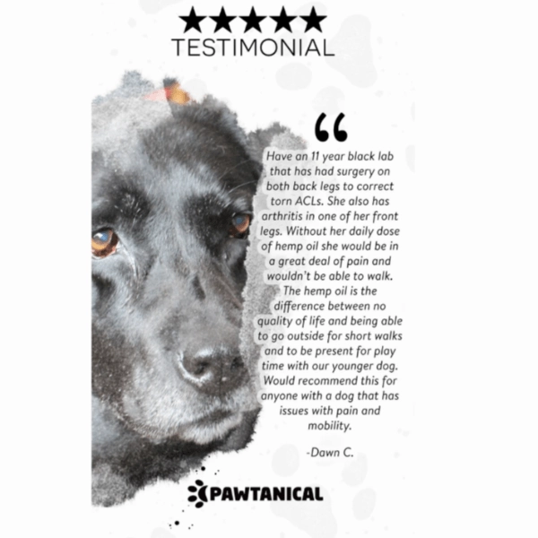Pawtanical PawDaily Full Spectrum Health Oil For Pets