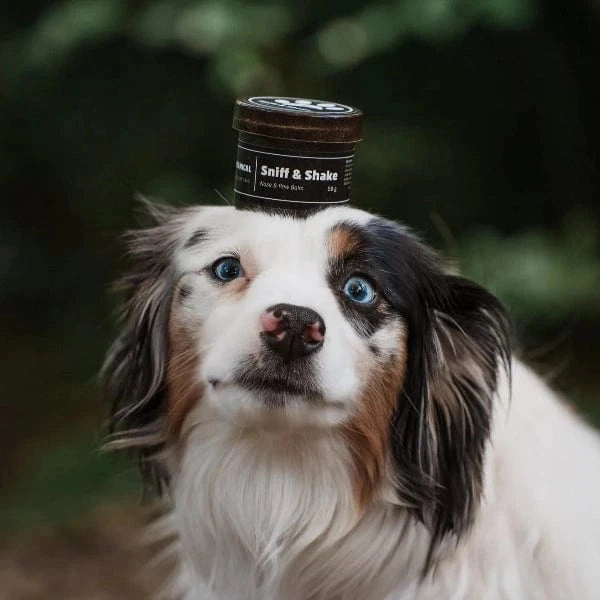 Pawtanical Sniff & Shake - Nose & Paw Balm