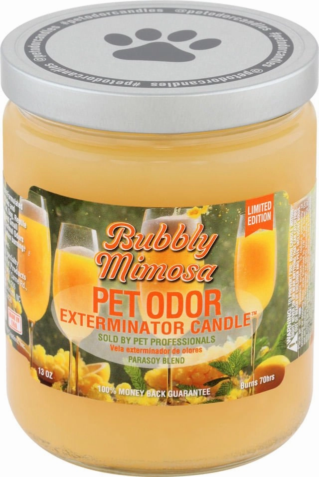 Pet Odor Exterminator Candle, Bubbly Mimosa, 13 oz