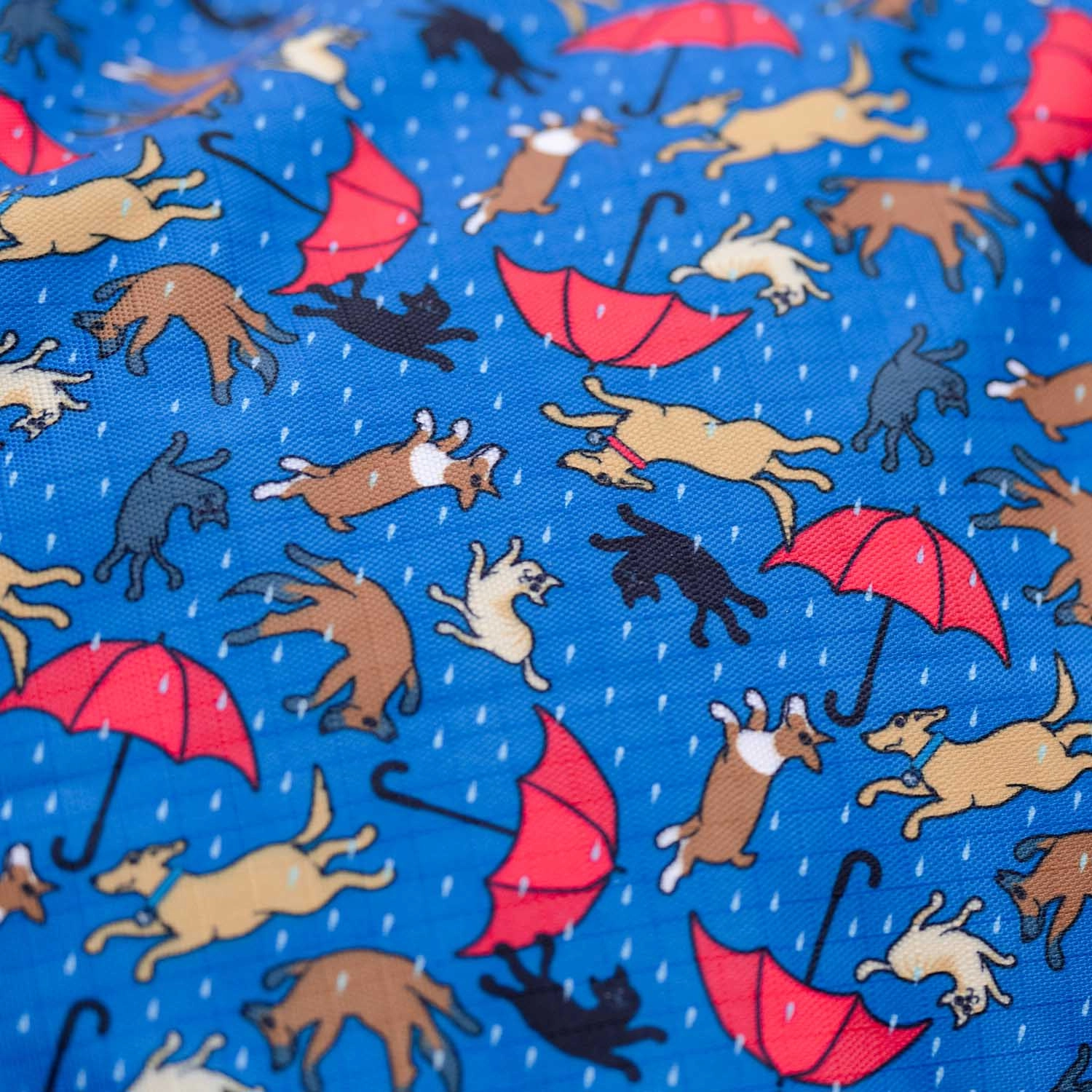 Professional's Choice 1200D Standard Neck Sheet, "Raining Cats & Dogs"
