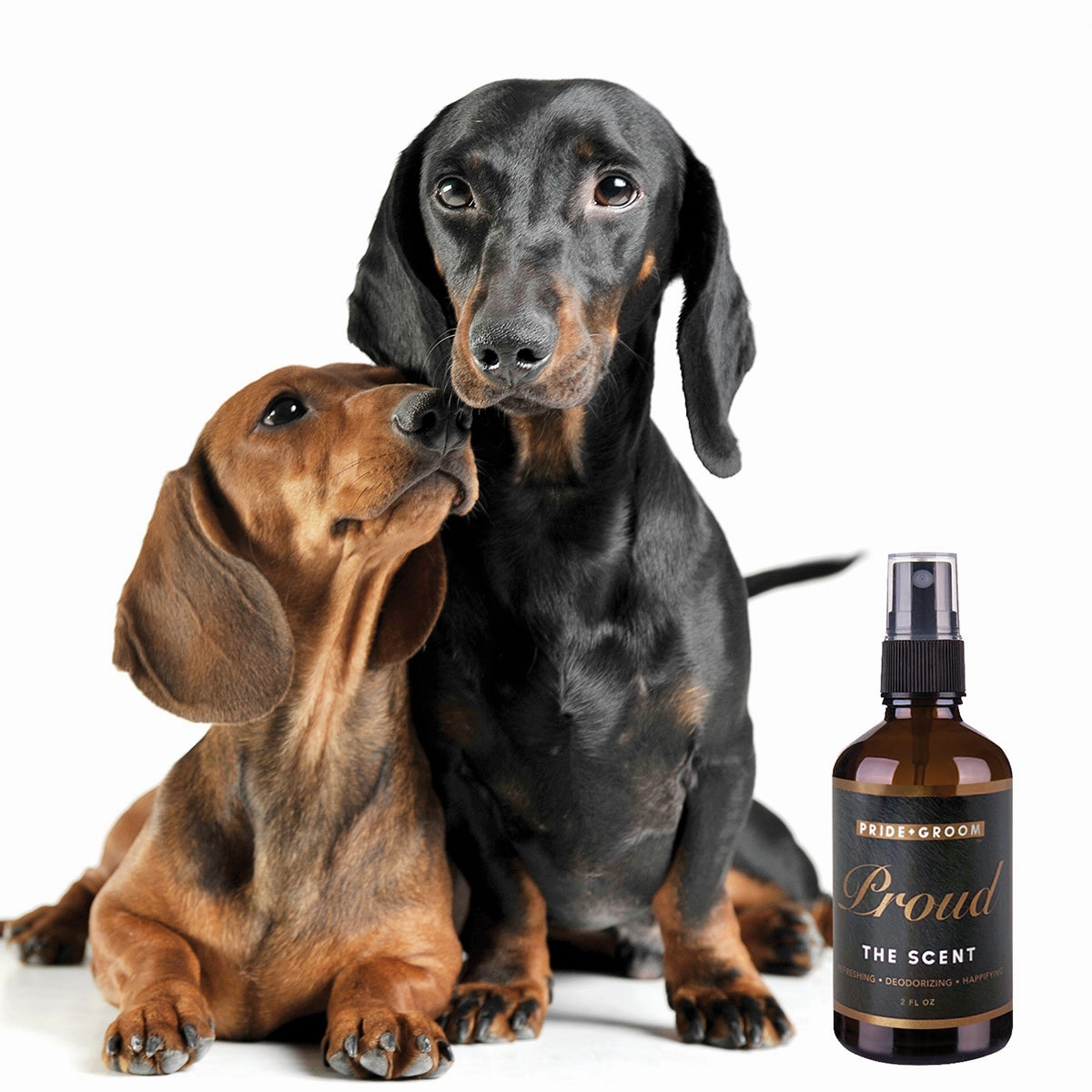 PROUD Dog Deodorizing Spray