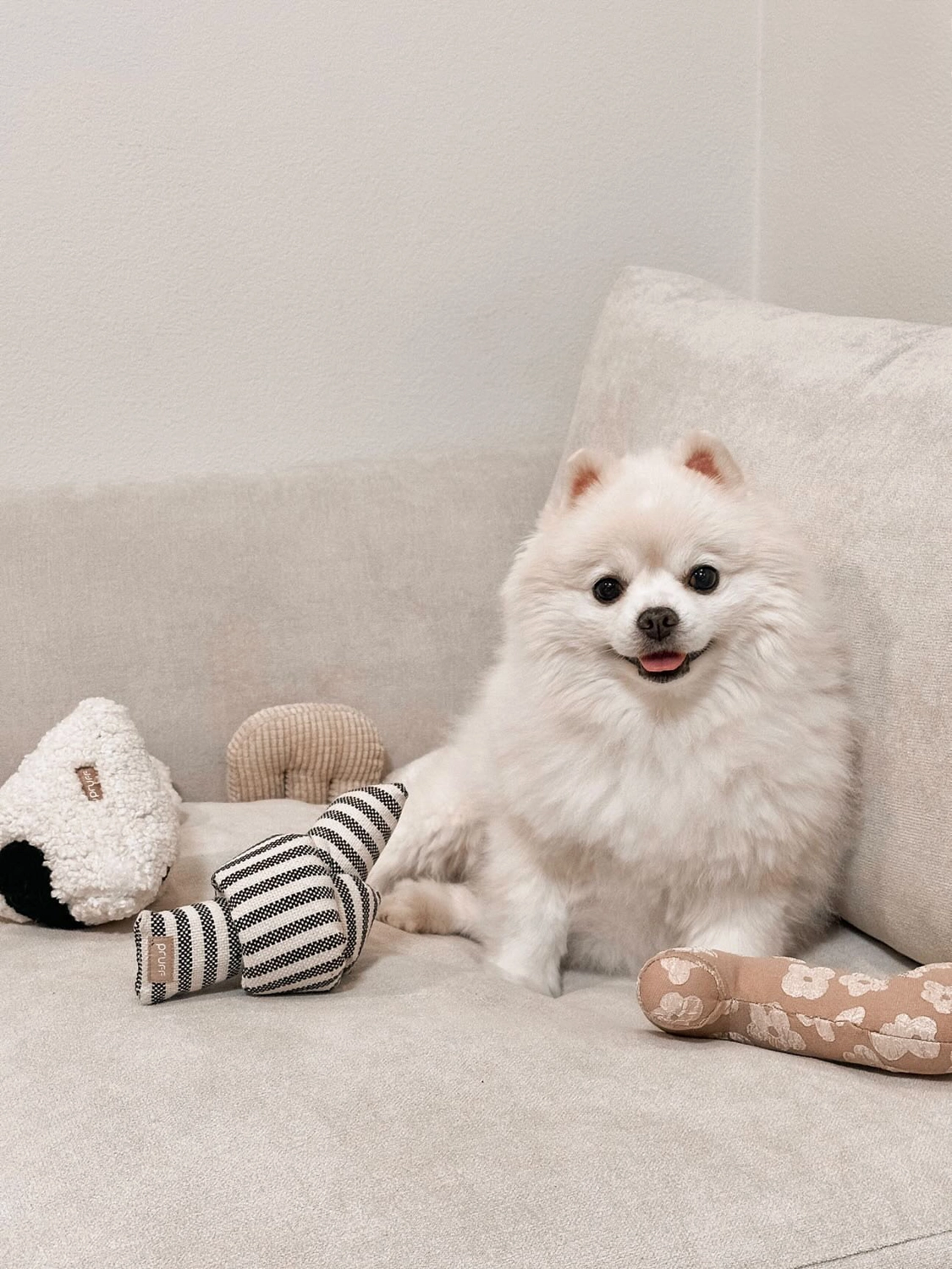 Pruff Pets Crinkle Plush Dog Toy: Knot