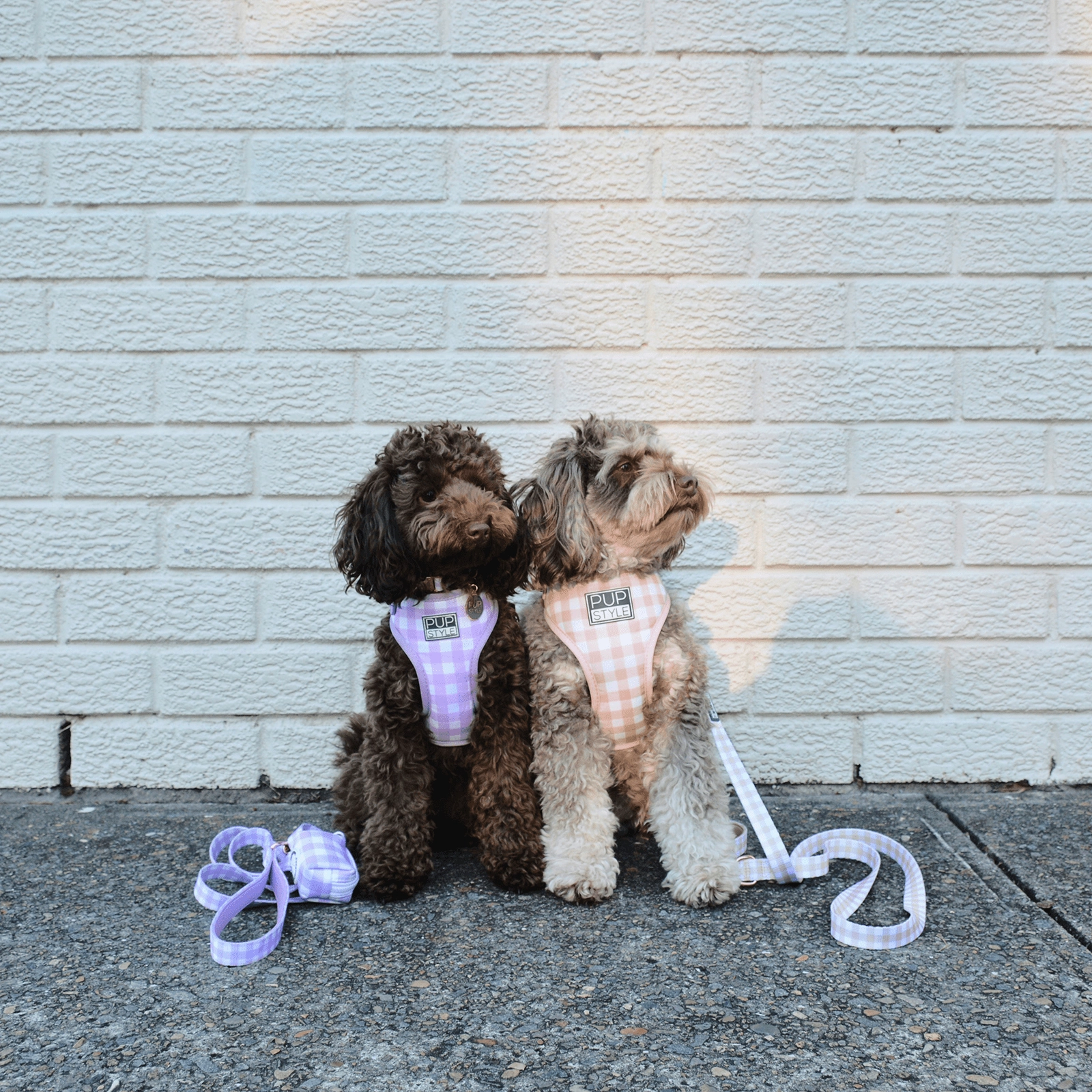 Pupstyle Dog Poop Bag Holder Berry Milkshake