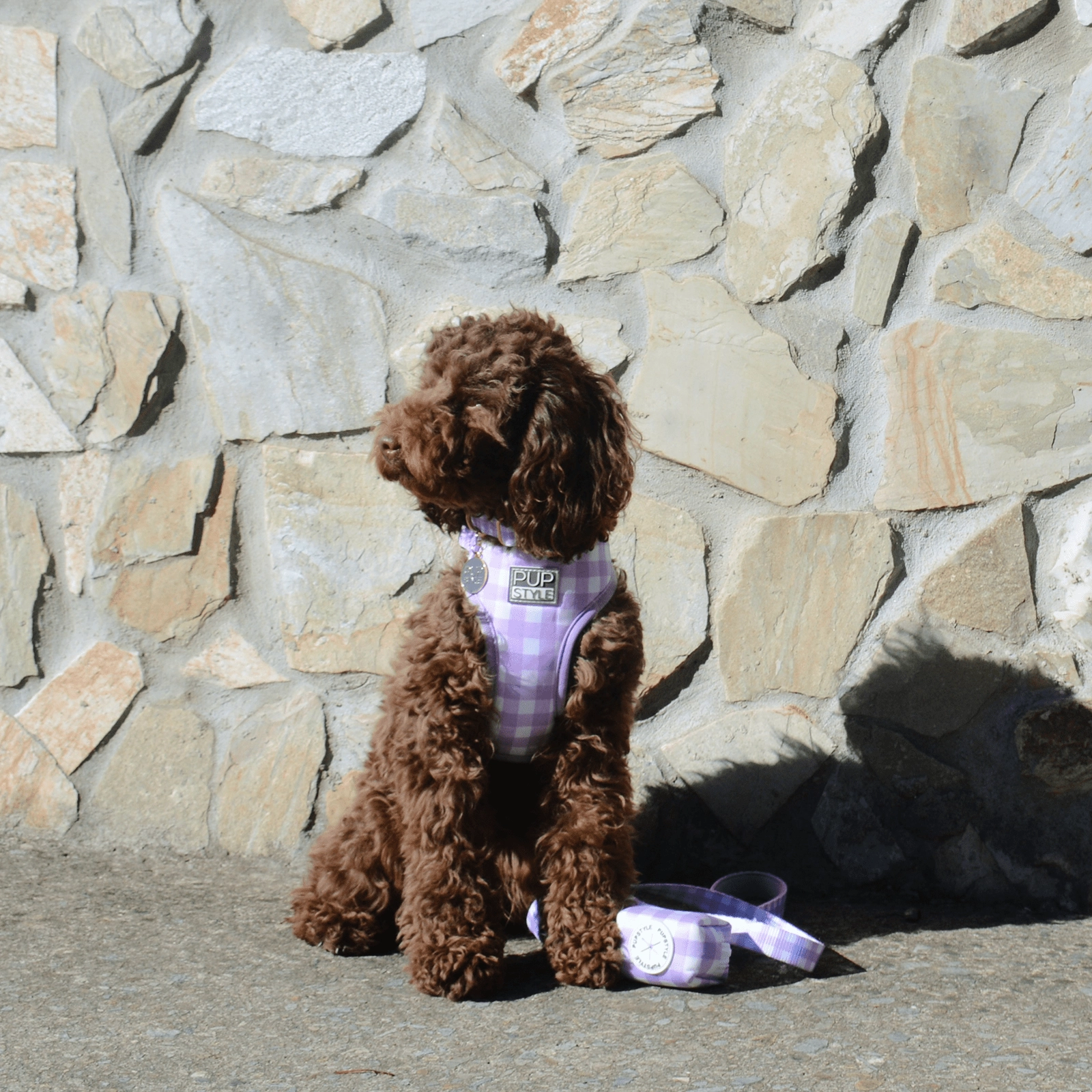 Pupstyle Dog Poop Bag Holder Berry Milkshake