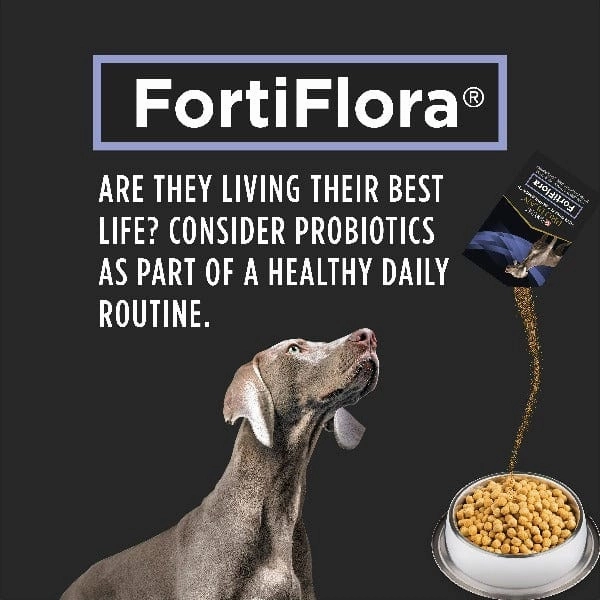 Purina Pro Plan Veterinary Supplements FortiFlora: Powdered Probiotic Supplements for Dogs