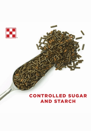 Purina Strategy Healthy Edge Horse Feed