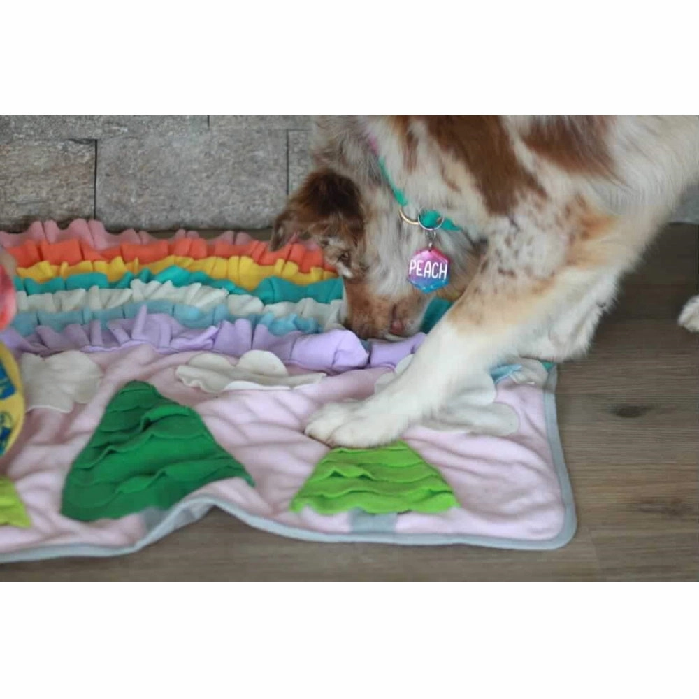 Rainbow Garden Snuffle Mat