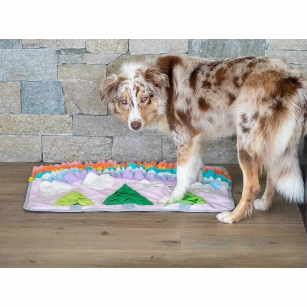Rainbow Garden Snuffle Mat