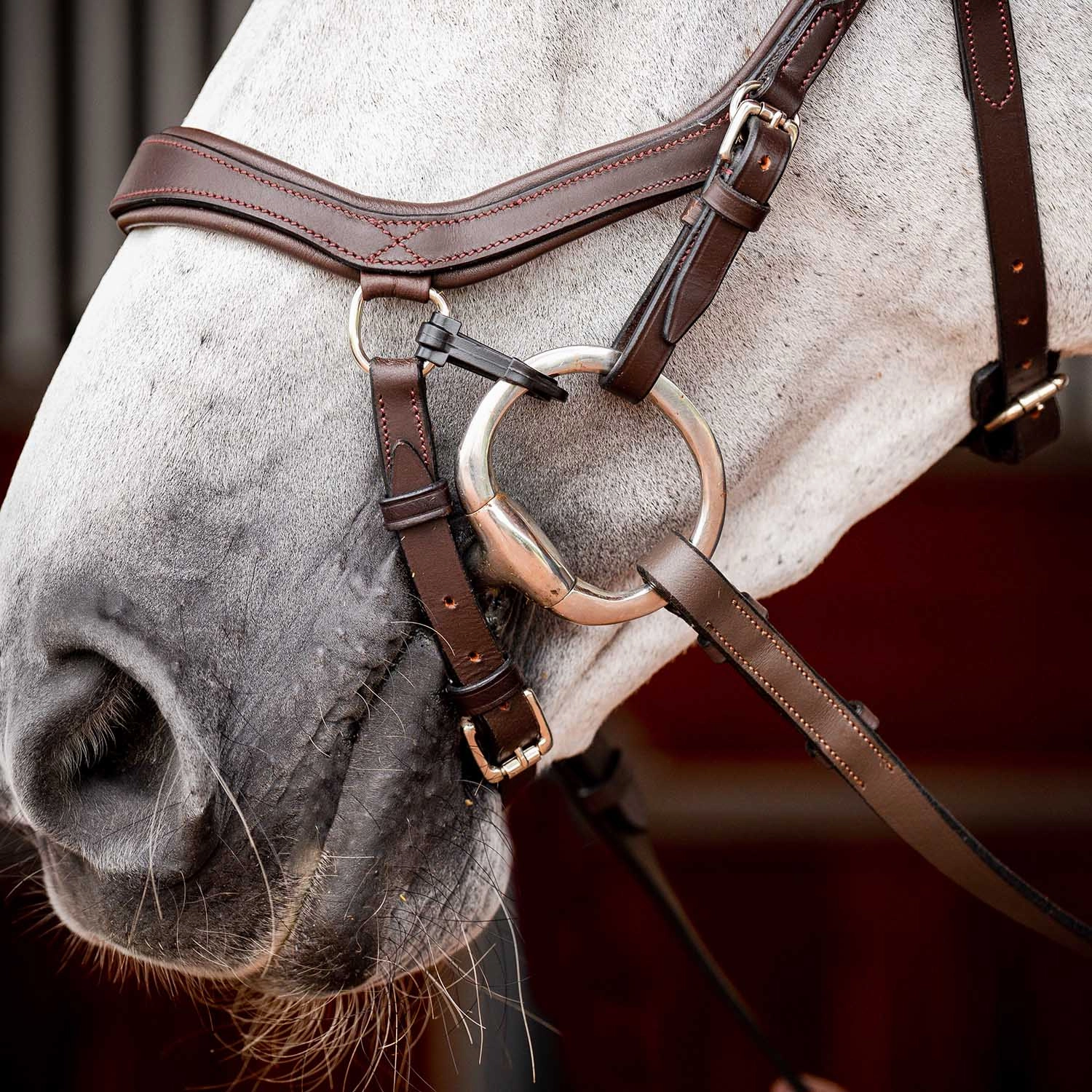 Rambo 2.0 Micklem Competition Bridle, Havana