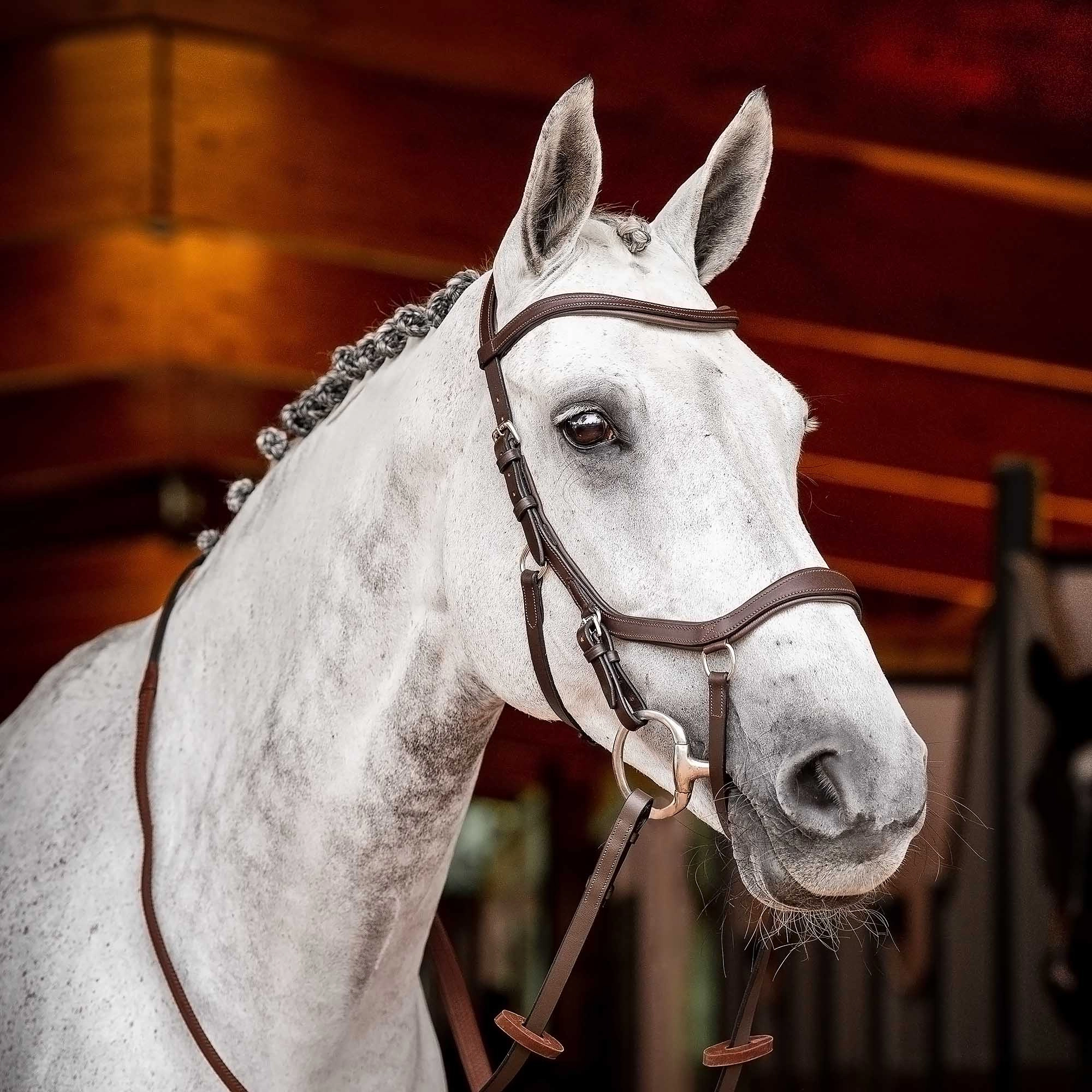 Rambo 2.0 Micklem Competition Bridle, Havana