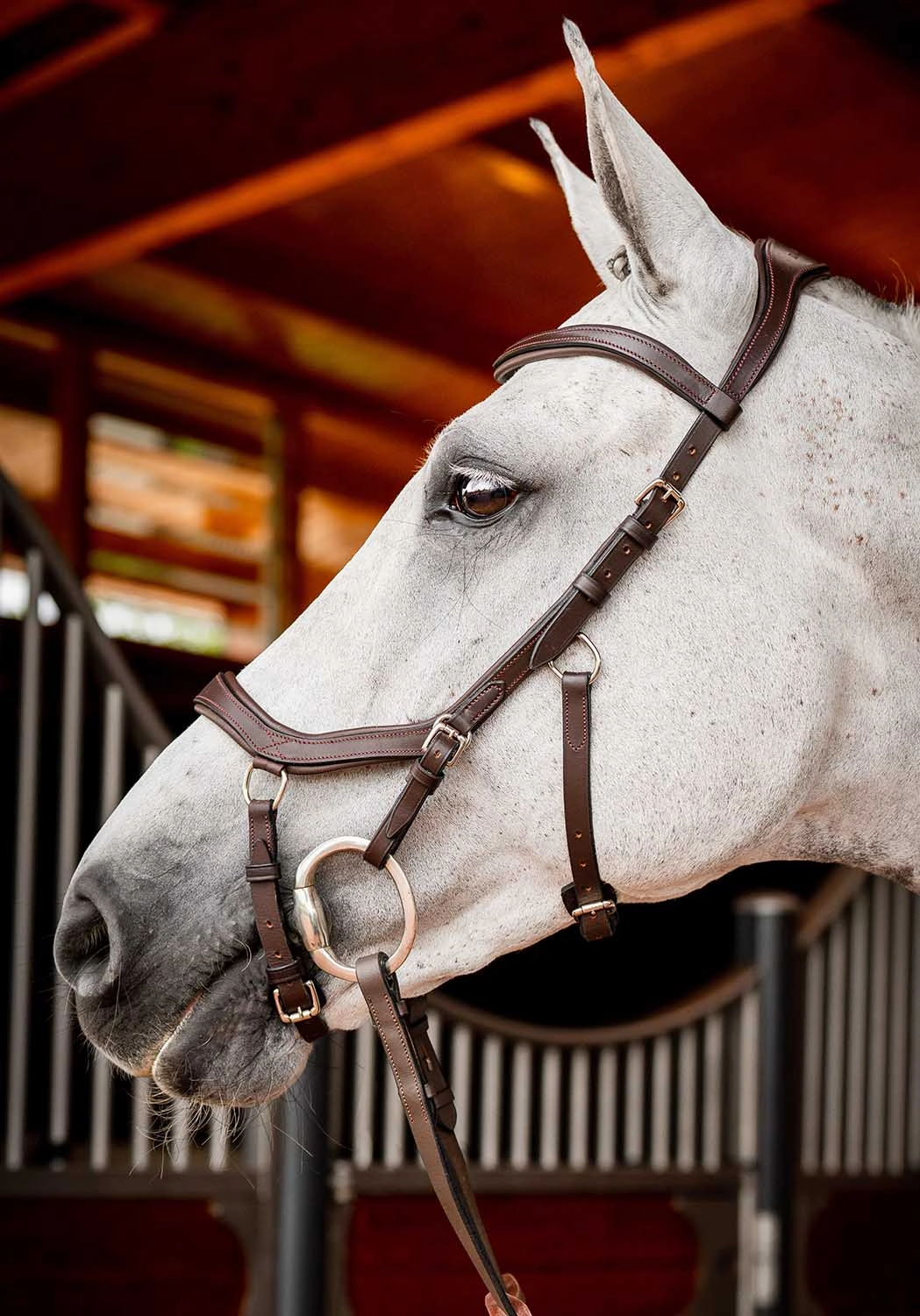 Rambo 2.0 Micklem Competition Bridle, Havana
