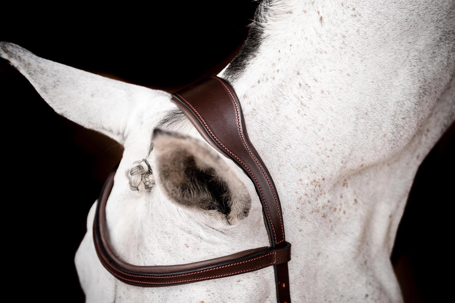 Rambo 2.0 Micklem Competition Bridle, Havana
