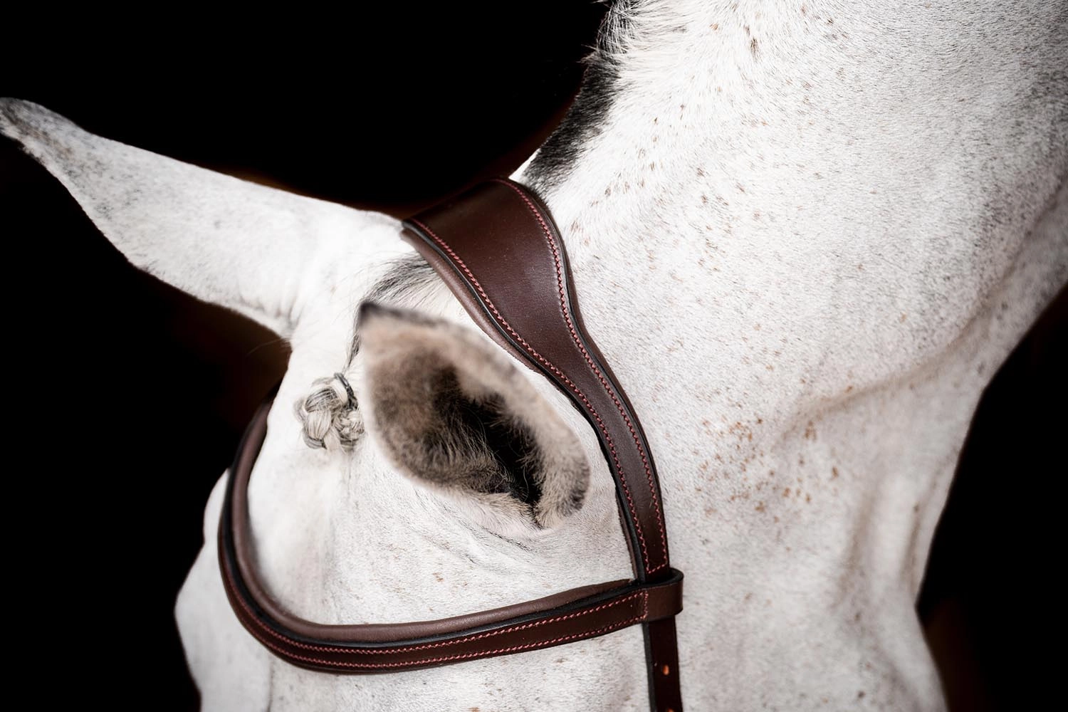 Rambo 2.0 Micklem Competition Bridle, Havana