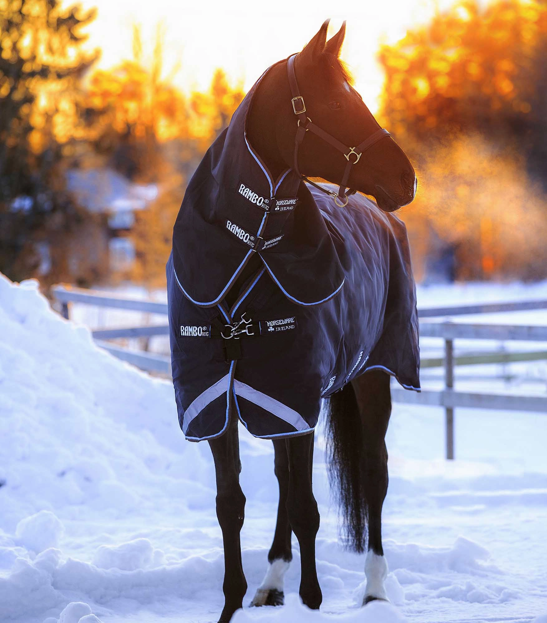 Rambo Duo Horse Turnout Blanket with Bag for Life