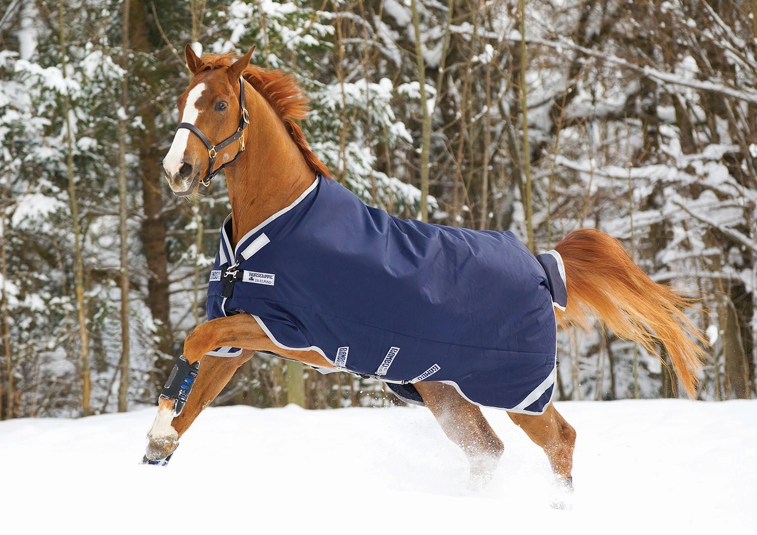Rambo Original Turnout Blanket with Leg Arches, 200 Gram, Navy/Silver