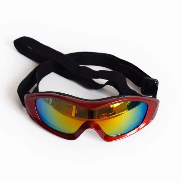 Razor Dog Goggles