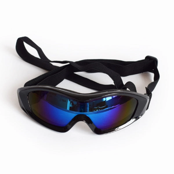 Razor Dog Goggles